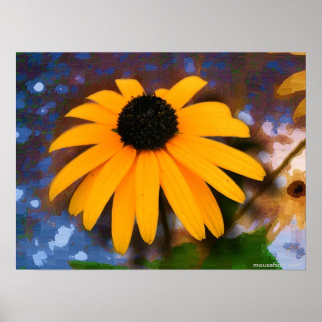 Black Eyed Susan Poster (Front)