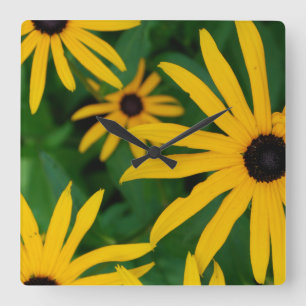 Black Eyed Susan Square Wall Clock