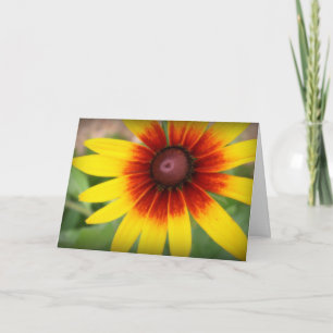 Black-eyed susan - Thank you! Thank You Card