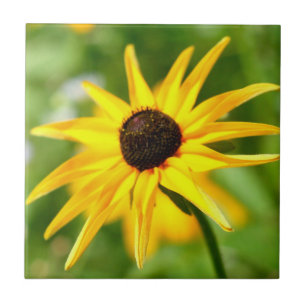 black-eyed susan tile