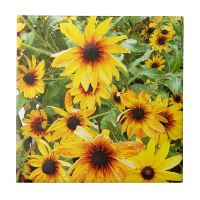 Black Eyed Susan Tile (Front)