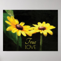 Black Eyed Susan True Love Fine Art