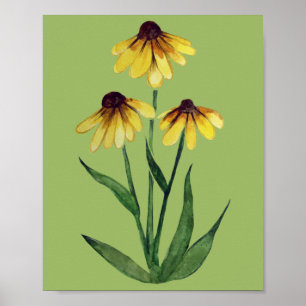 Black Eyed Susan Watercolor Daisy Art cute daisies Poster