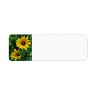 Black-Eyed Susans