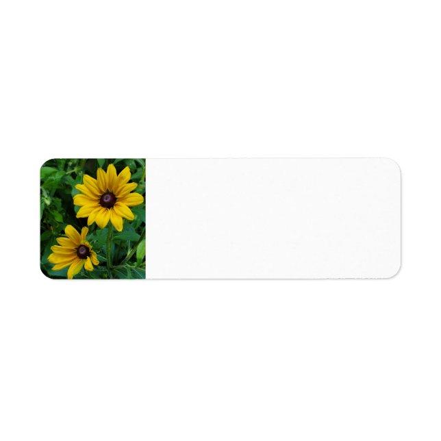 Black-Eyed Susans (Front)