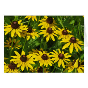 Black-Eyed Susans Art (watercolor)