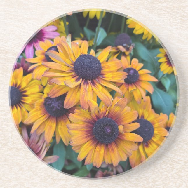 Black-Eyed Susans Coaster (Front)