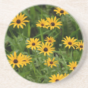 Black-Eyed Susans coasters