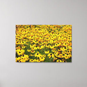 Black Eyed Susans Diptych Canvas Print