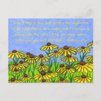 Black Eyed Susans Flowers Postcard