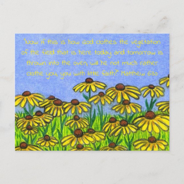Black Eyed Susans Flowers Postcard (Front)