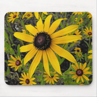 Black Eyed Susans Mouse Pad
