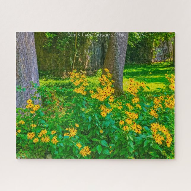 Black Eyed Susans Ohio. Jigsaw Puzzle (Horizontal)