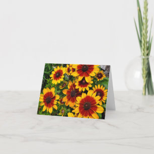 Black-eyed Susans Thank You Card