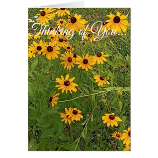 Black-eyed Susans -Thinking of You
