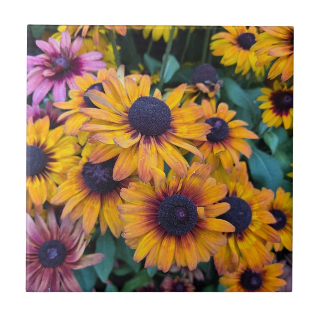 Black-Eyed Susans Tile (Front)