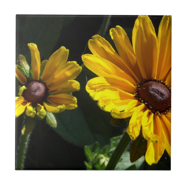 Black Eyed Susans Tile (Front)