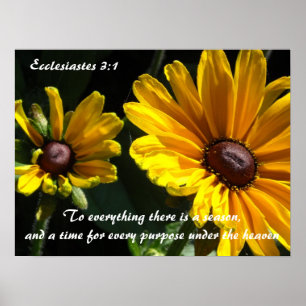 Black Eyed Susans With Scripture Verse Poster