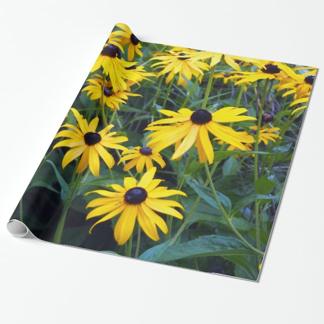 Black Eyed Susans Wrapping Paper (Unrolled)