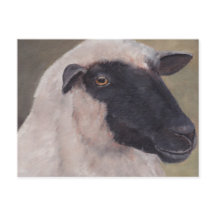 Black Face Sheep Art Postcard