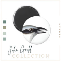 Black-faced Cuckoo-shrike Magnet