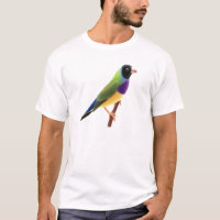 Black Faced Gouldian Finch