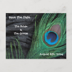 Black Feathers Save the Date Announcement Postcard