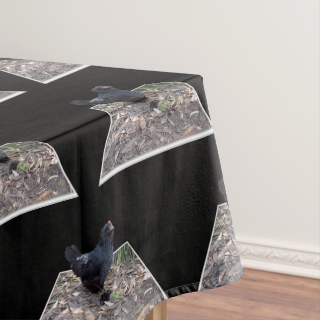 Black Fluffy Chicken, Tablecloth (In Situ)