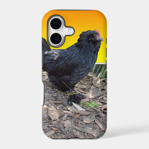 Black Fluffy Rooster Dimensional Art,