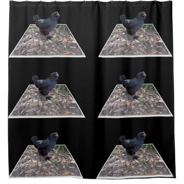 Black Fluffy Rooster, Shower Curtain (Front)