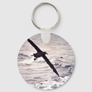 Black-footed albatross in flight key ring