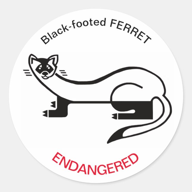 Black-footed FERRET- Endangered animal - USA Classic Round Sticker (Front)