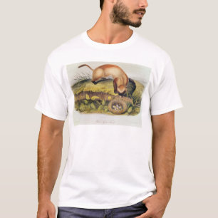 Black-footed Ferret T-Shirt