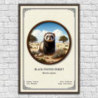 Black-Footed Ferret Zoology Series