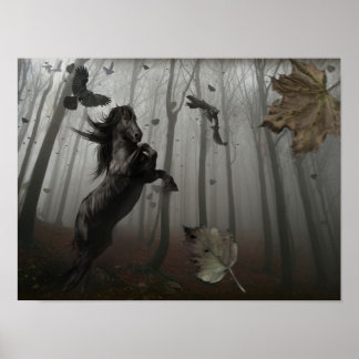 Black Forest Poster