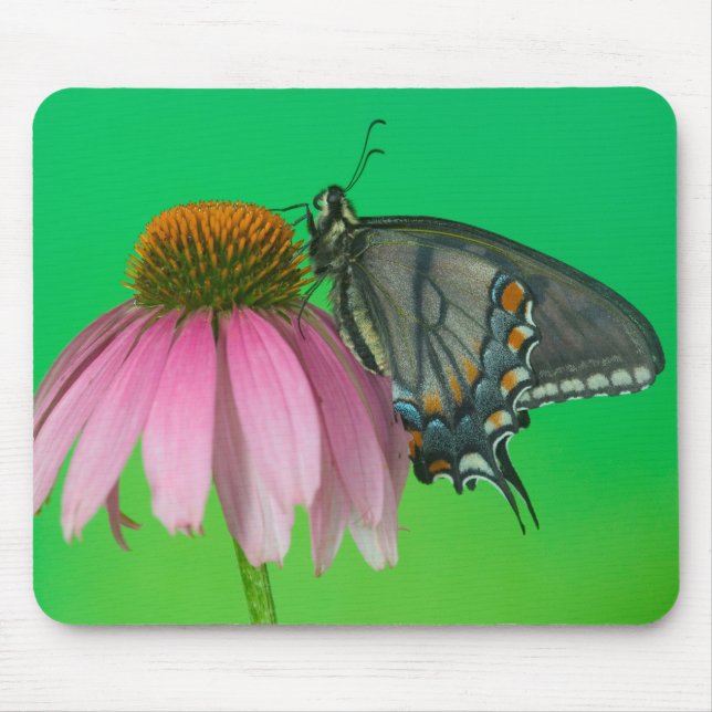 Black Form Of Eastern Tiger Swallowtail Mouse Pad (Front)