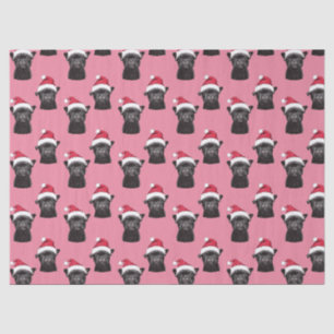 Black French Bulldog Pink Christmas Tissue Paper