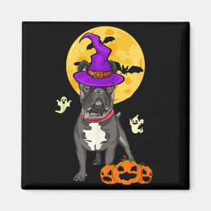 Black French Bulldog Witch Halloween Costume Dog Magnet