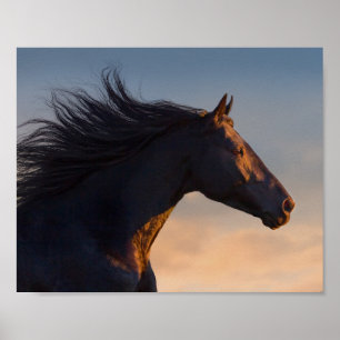 Black Friesian Horse at Sunlight Decoupage Print