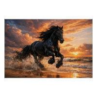 Black Friesian Horse at Sunset, Powerful Beach Run