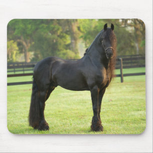 Black Friesian Horse Mouse Pad