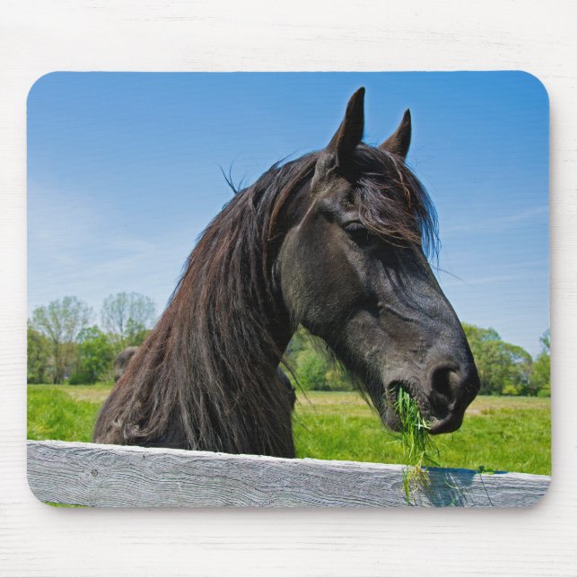 Black Friesian Horse Mouse Pad (Front)