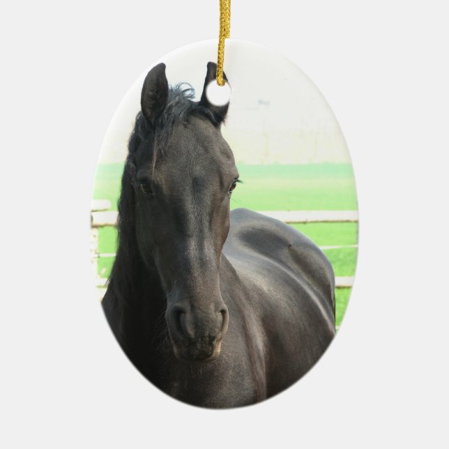 Black Friesian Horse Ornament (Front)