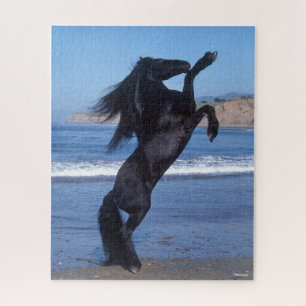 Black Friesian Stallion Rearing On Beach Jigsaw Puzzle