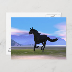 Black Galloping Horse Postcard