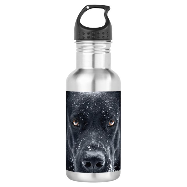 Black German Shepherd 710 Ml Water Bottle (Front)