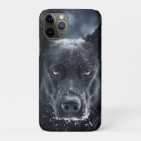 Black German Shepherd