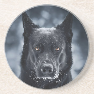 Black German Shepherd Coaster