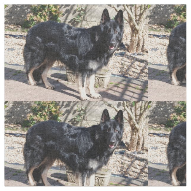 black german shepherd full.png fabric (Close Up)