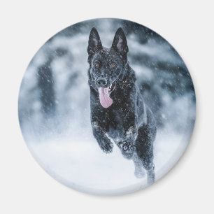Black German Shepherd in snow Duvet Cover Magnet